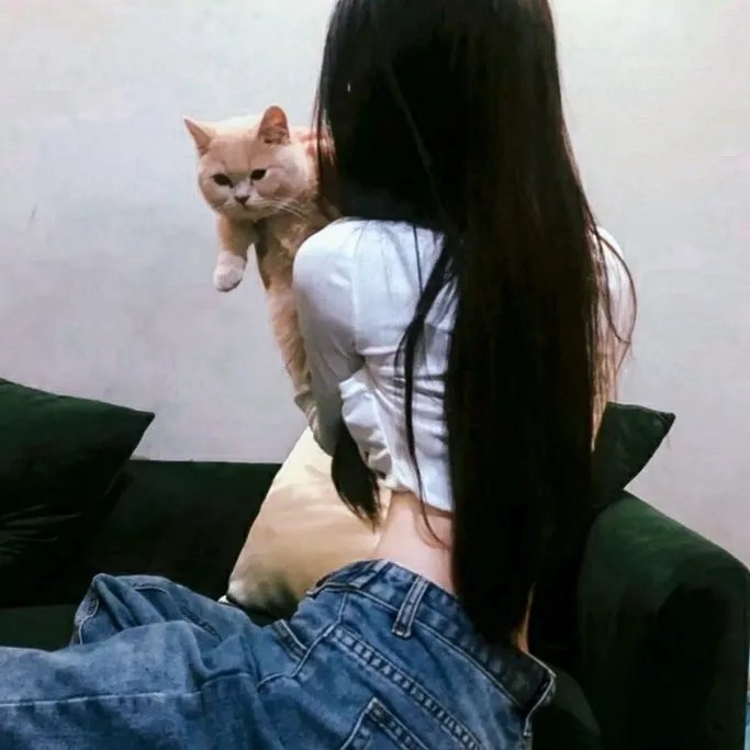 姊姊妹妹站起来封面
